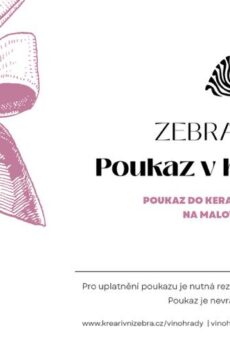 Darkovy poukaz - Vinohrady